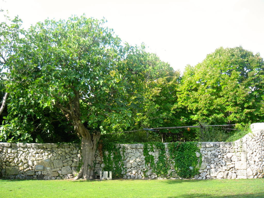 Tenuta Sant'Andrea Giuggianello Bagian luar foto